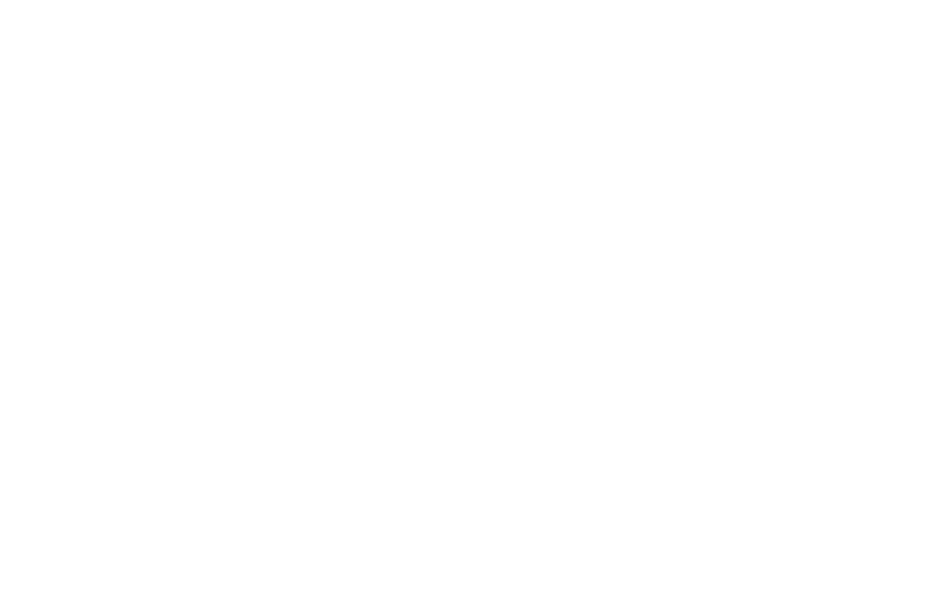 ASMDA (2)